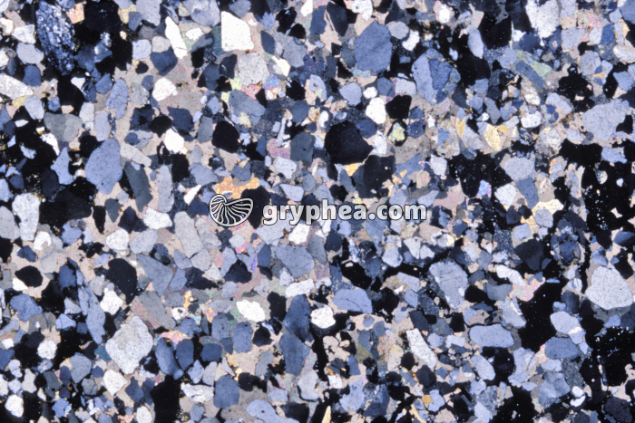 Grès à ciment poecoelithique LPA x 4 - gryphea.com